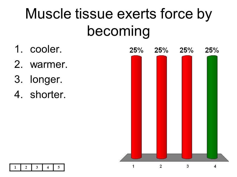 Muscle tissue exerts force by becoming