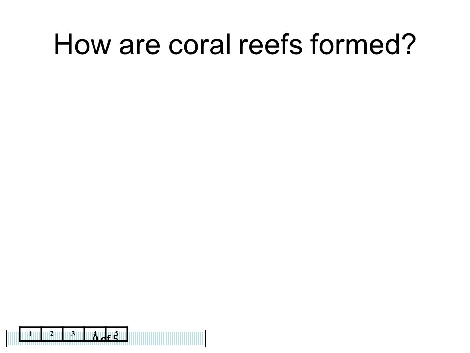 How are coral reefs formed