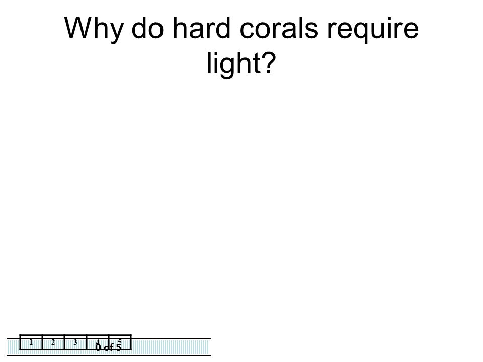 Why do hard corals require light