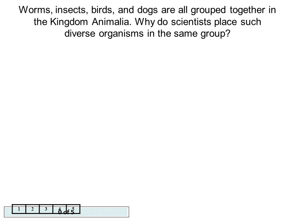 Worms, insects, birds, and dogs are all grouped together in the Kingdom Animalia. Why do scientists place such diverse organisms in the same group