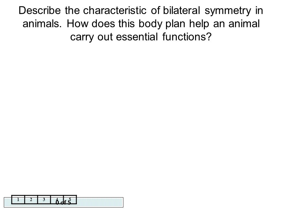 Describe the characteristic of bilateral symmetry in animals
