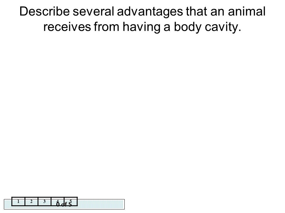 Describe several advantages that an animal receives from having a body cavity.