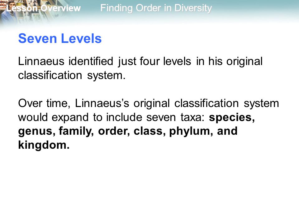 Seven Levels Linnaeus identified just four levels in his original classification system.
