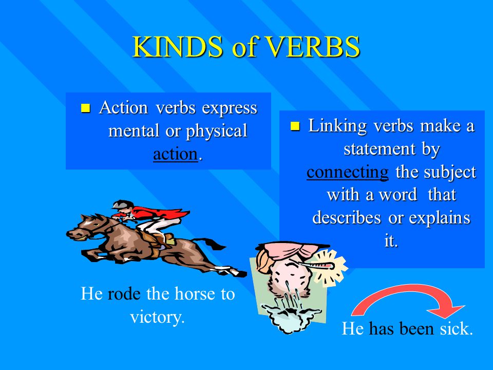 KINDS of VERBS Action verbs express mental or physical action.