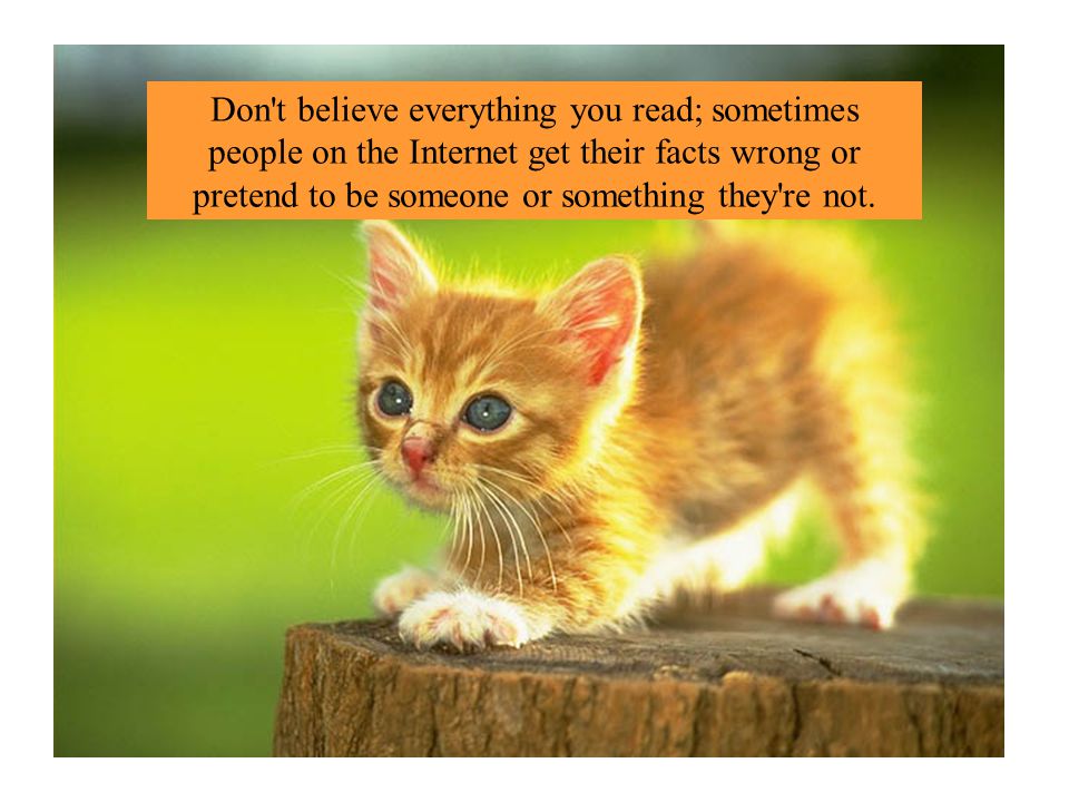 Don t believe everything you read; sometimes people on the Internet get their facts wrong or pretend to be someone or something they re not.