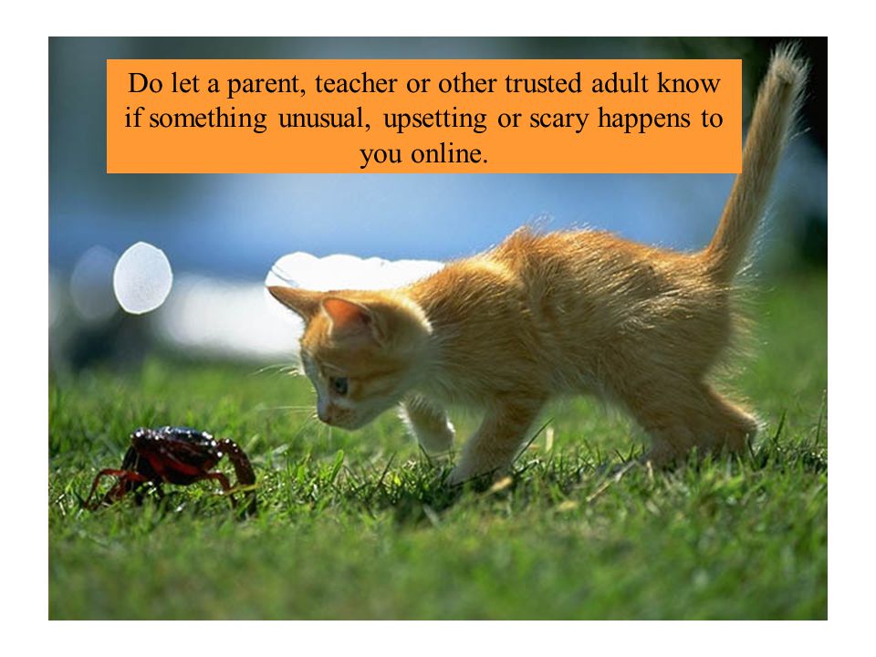 Do let a parent, teacher or other trusted adult know if something unusual, upsetting or scary happens to you online.