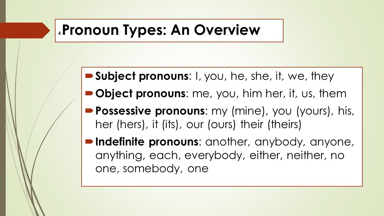 4 Pronoun Types: An Overview