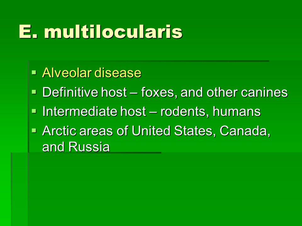 E. multilocularis Alveolar disease