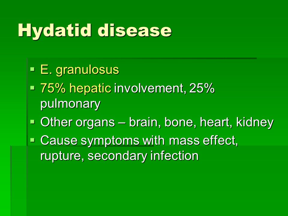 Hydatid disease E. granulosus 75% hepatic involvement, 25% pulmonary