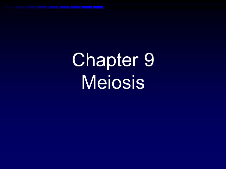 Chapter 9 Meiosis