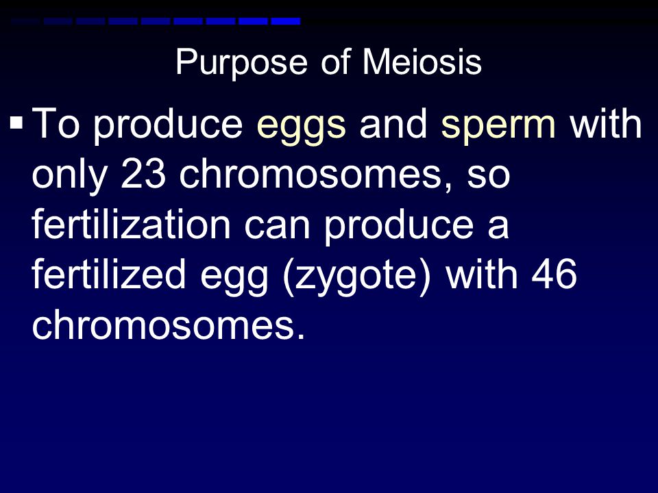 Purpose of Meiosis To produce eggs and sperm with only 23 chromosomes, so fertilization can produce a fertilized egg (zygote) with 46 chromosomes.