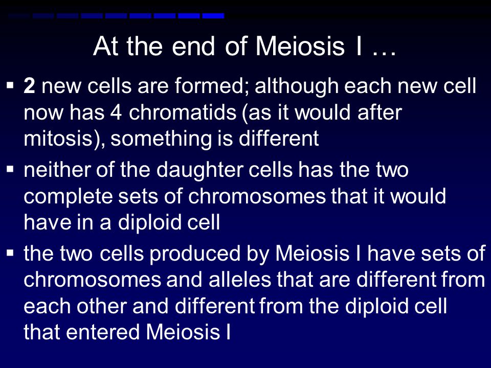 At the end of Meiosis I … 2 new cells are formed; although each new cell now has 4 chromatids (as it would after mitosis), something is different.