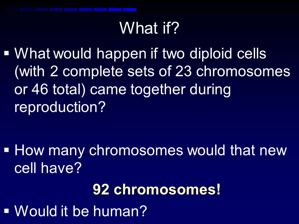 What if What would happen if two diploid cells (with 2 complete sets of 23 chromosomes or 46 total) came together during reproduction