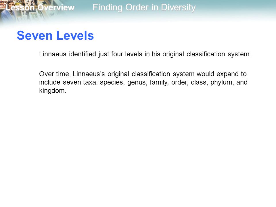 Seven Levels Linnaeus identified just four levels in his original classification system.