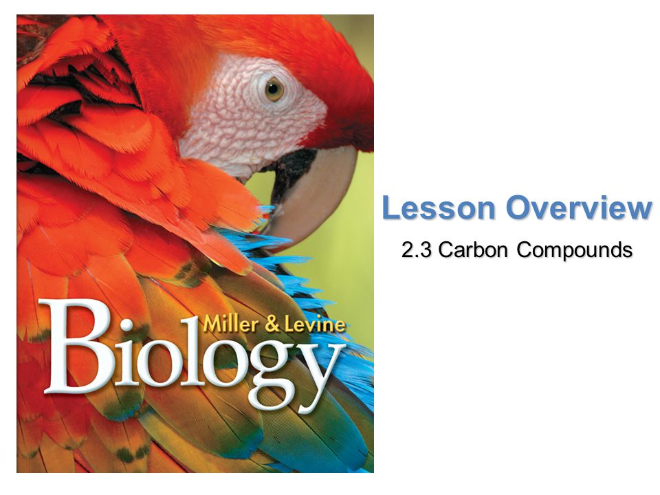 Lesson Overview 2.3 Carbon Compounds