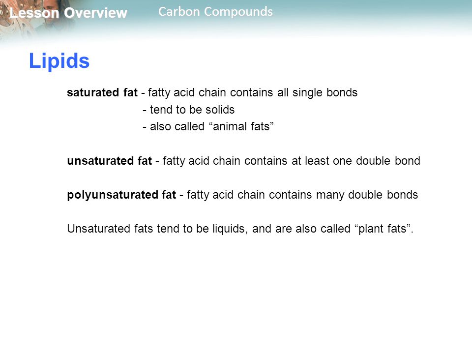 Lipids saturated fat - fatty acid chain contains all single bonds