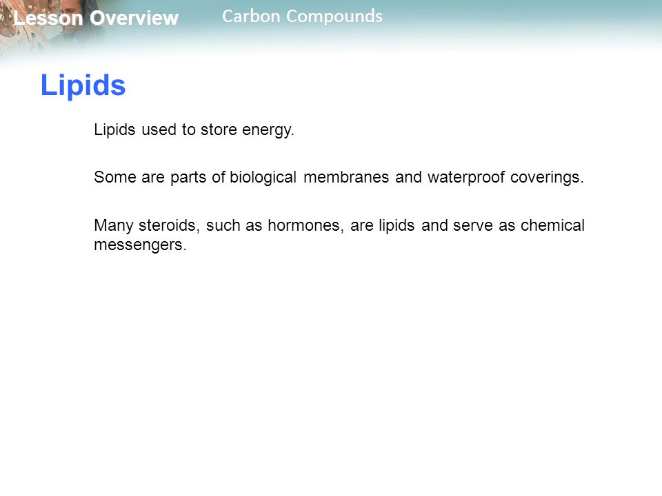 Lipids Lipids used to store energy.