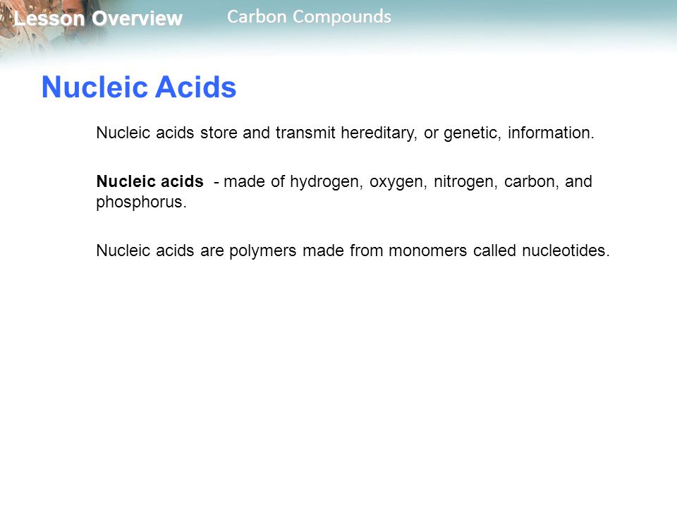 Nucleic Acids Nucleic acids store and transmit hereditary, or genetic, information.