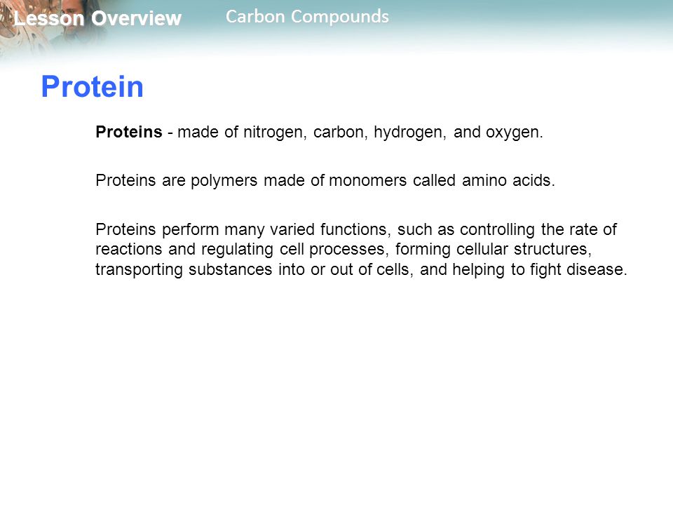 Protein Proteins - made of nitrogen, carbon, hydrogen, and oxygen.