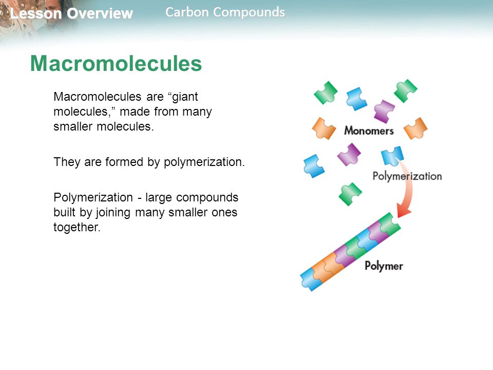 Macromolecules Macromolecules are giant molecules, made from many smaller molecules. They are formed by polymerization.