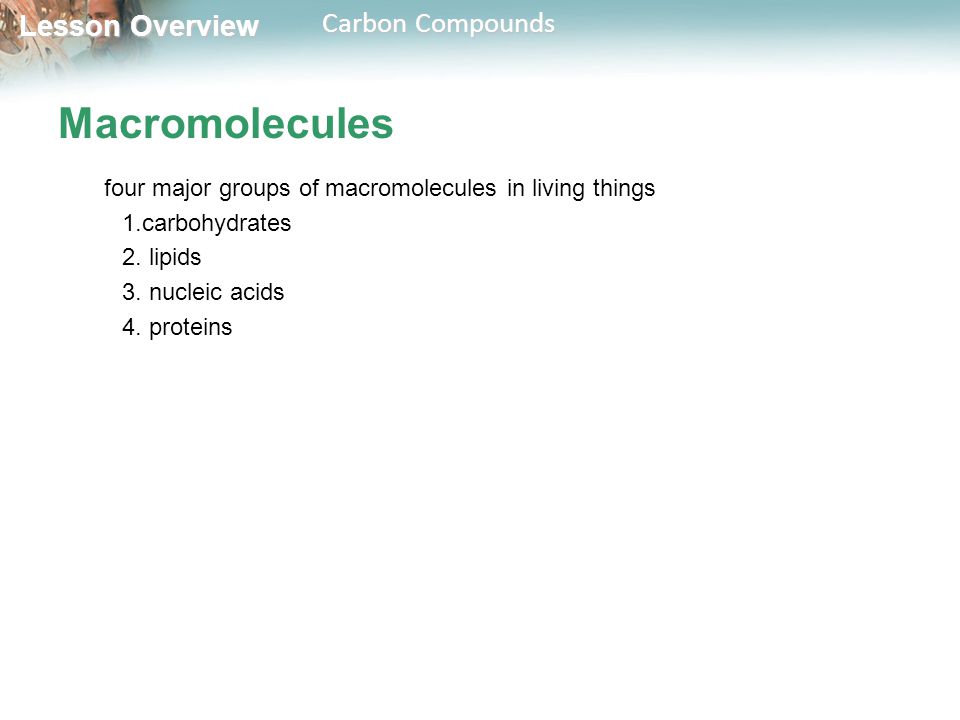 Macromolecules four major groups of macromolecules in living things