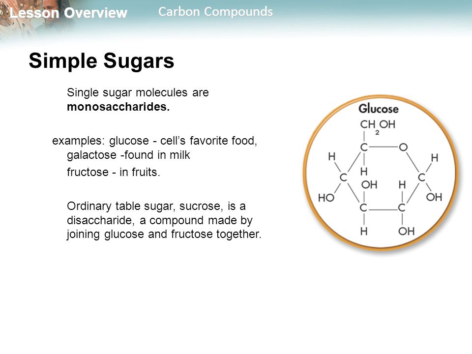Simple Sugars Single sugar molecules are monosaccharides.
