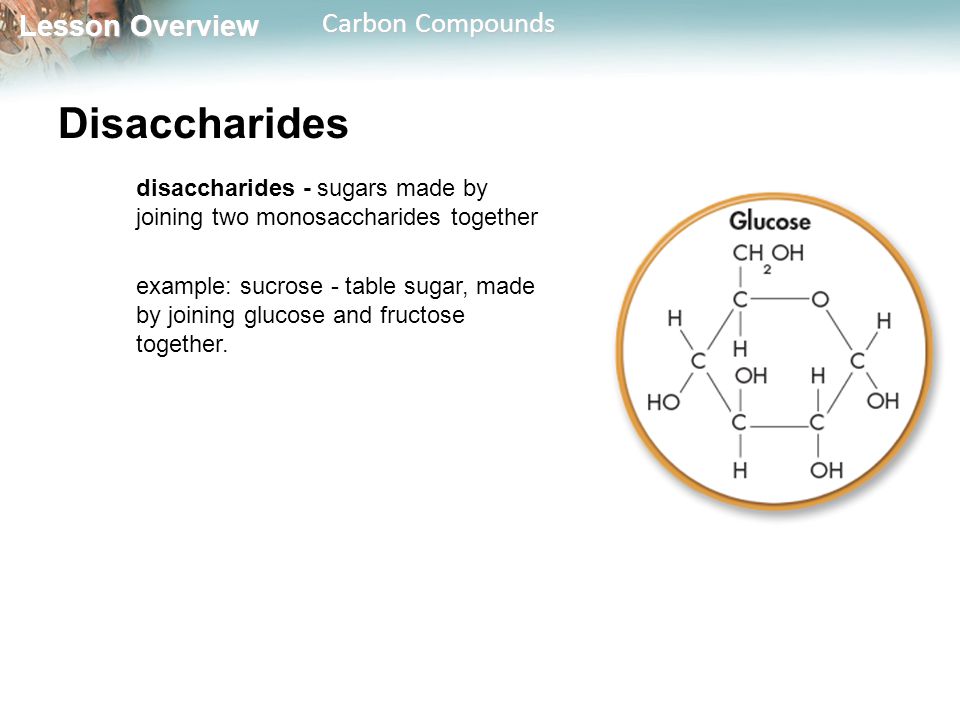 Disaccharides disaccharides - sugars made by joining two monosaccharides together.
