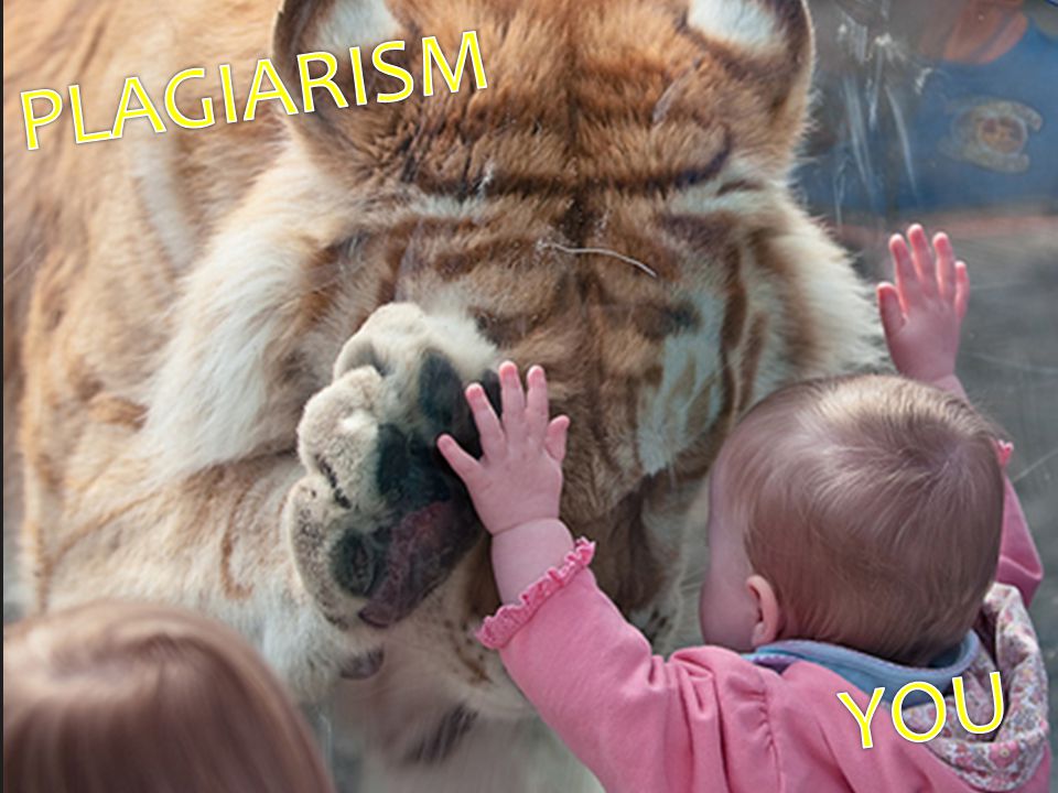 PLAGIARISM YOU