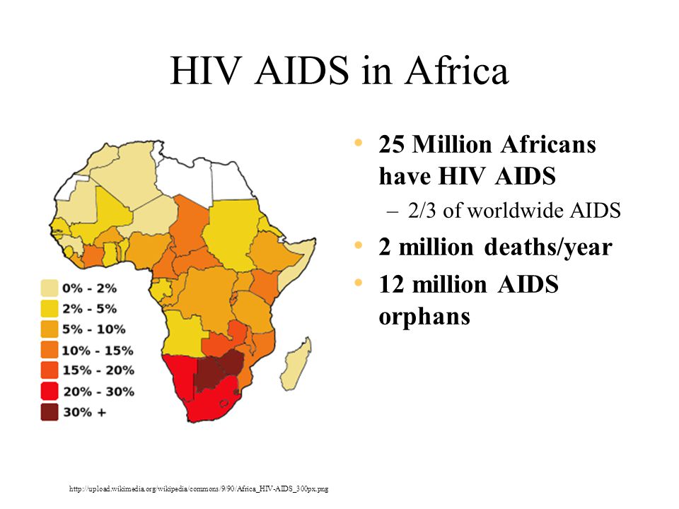 HIV AIDS in Africa 25 Million Africans have HIV AIDS