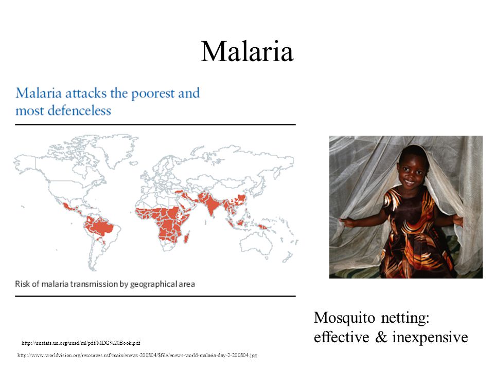 Malaria Mosquito netting: effective & inexpensive