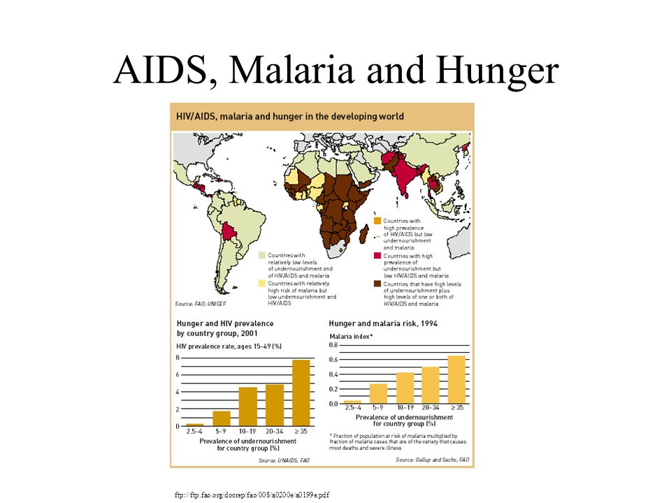 AIDS, Malaria and Hunger