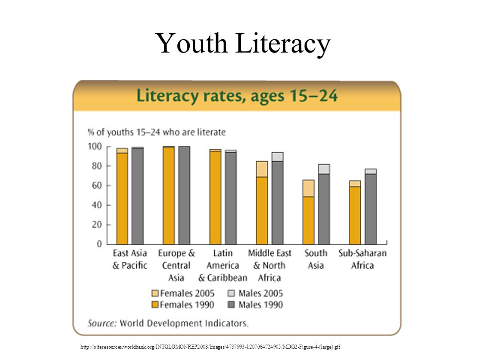 Youth Literacy