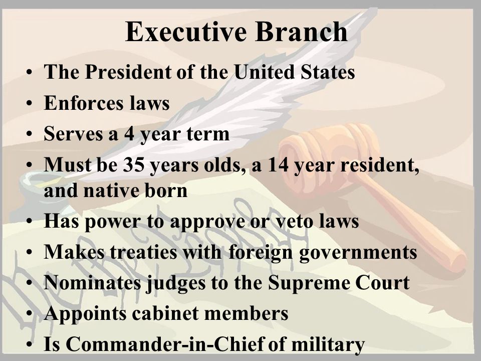 Executive Branch The President of the United States Enforces laws