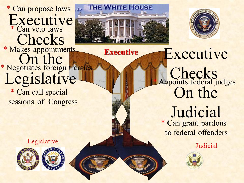 Executive Checks On the Legislative Executive Checks On the Judicial