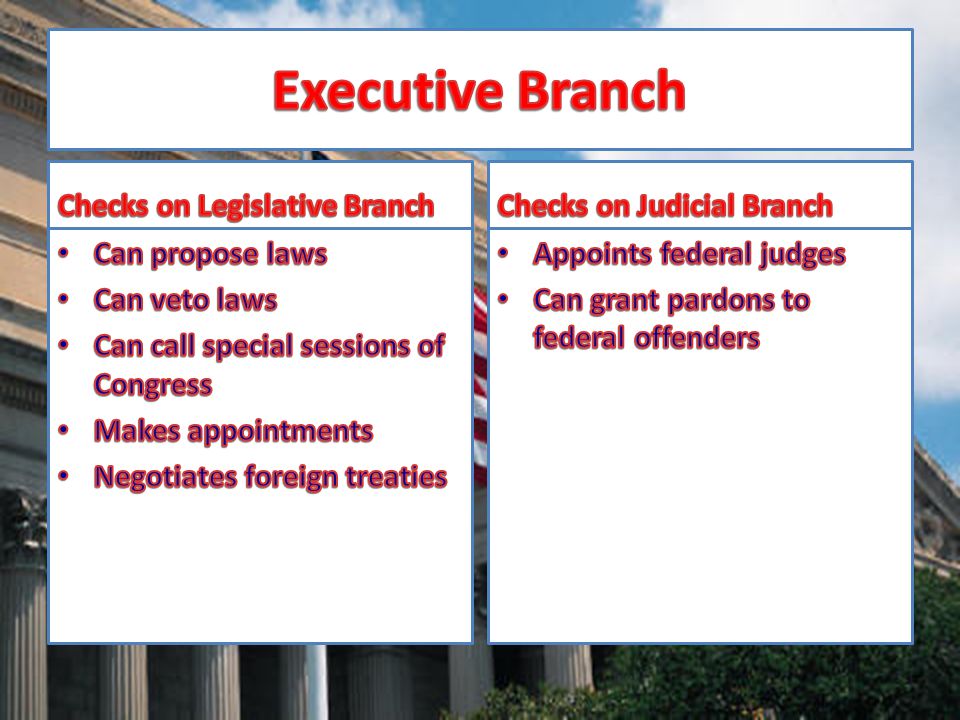 Executive Branch Checks on Legislative Branch