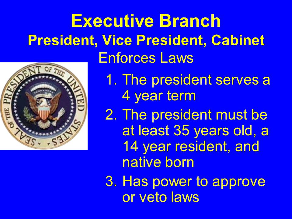 Executive Branch President, Vice President, Cabinet Enforces Laws