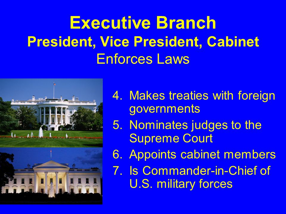 Executive Branch President, Vice President, Cabinet Enforces Laws