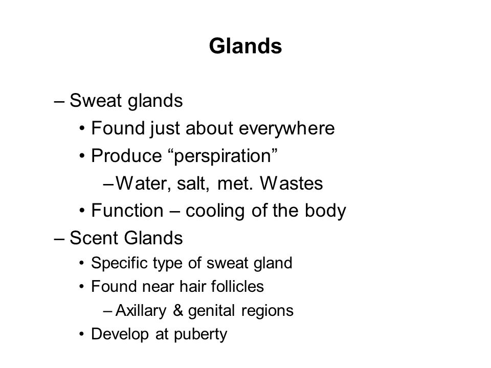 Glands Sweat glands Found just about everywhere Produce perspiration