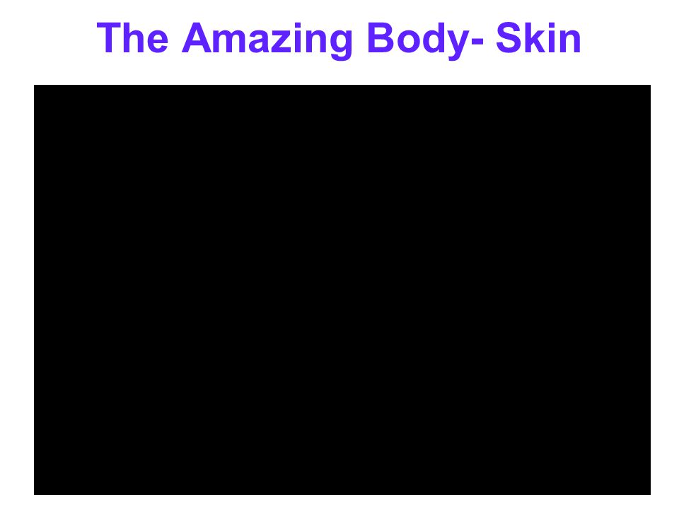 The Amazing Body- Skin