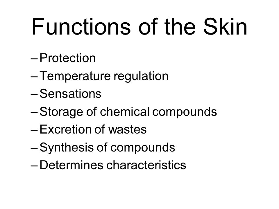 Functions of the Skin Protection Temperature regulation Sensations