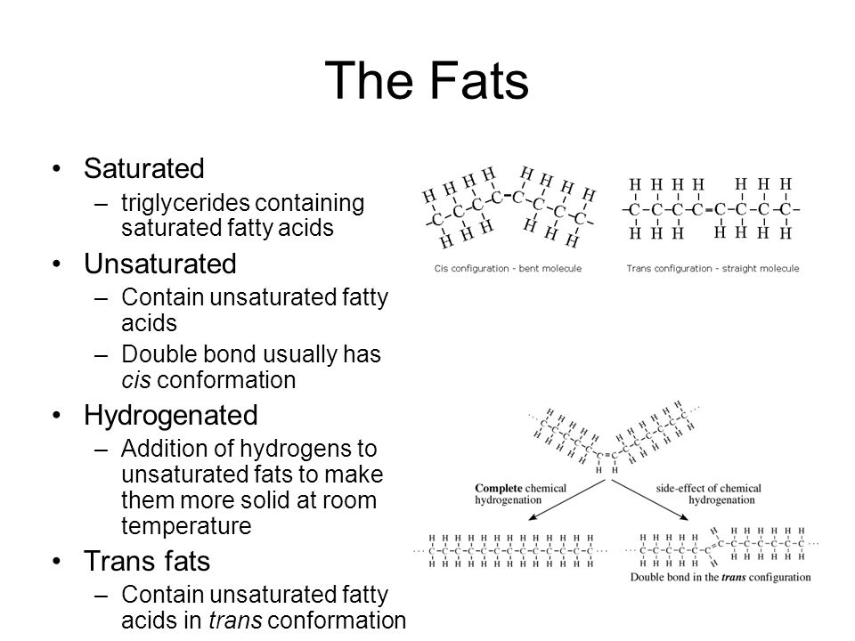 The Fats Saturated Unsaturated Hydrogenated Trans fats