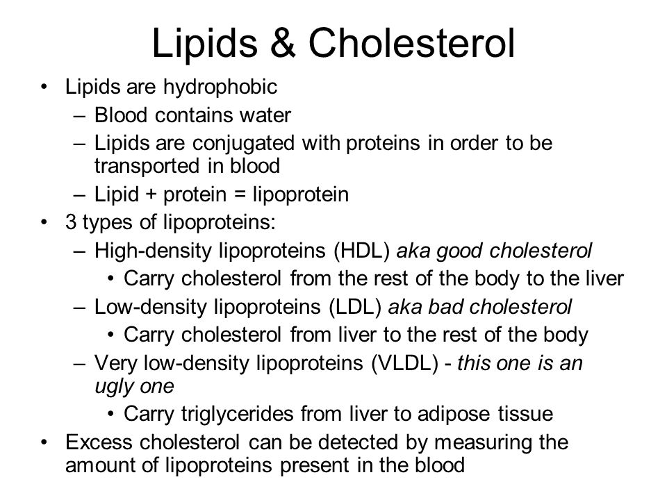 Lipids & Cholesterol Lipids are hydrophobic Blood contains water