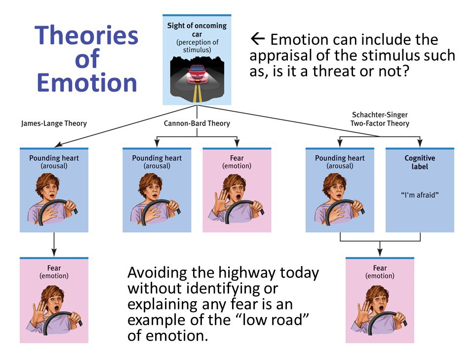  Emotion can include the appraisal of the stimulus such as, is it a threat or not