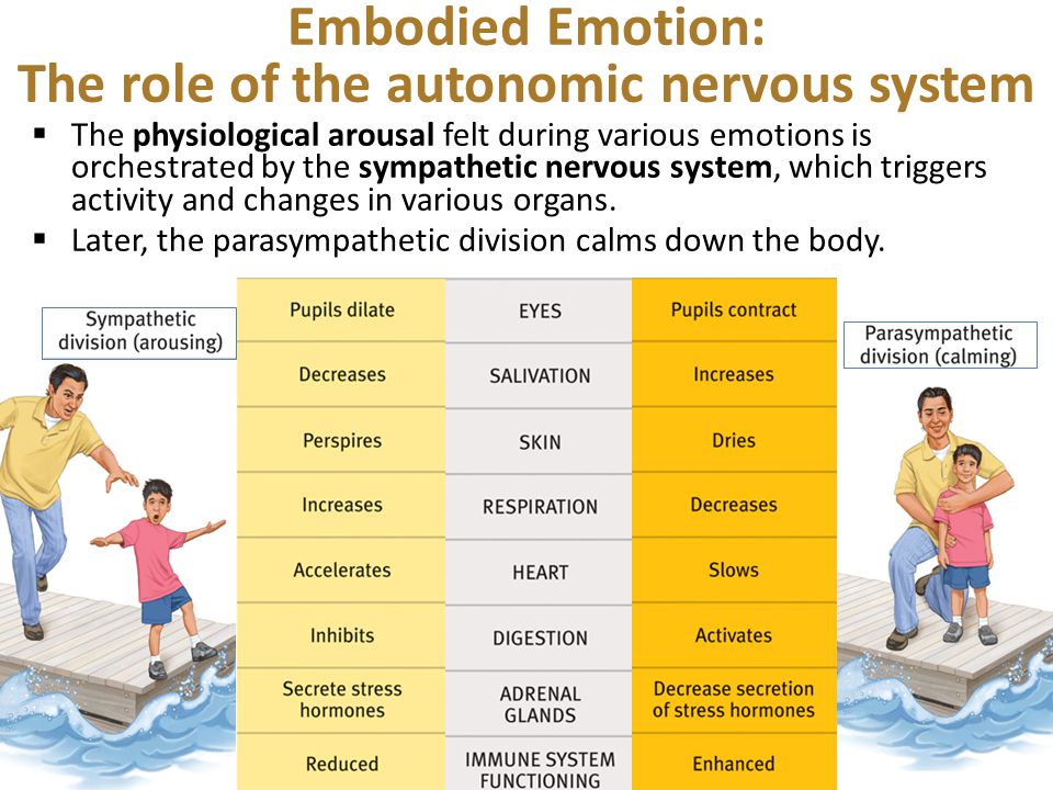 Embodied Emotion: The role of the autonomic nervous system