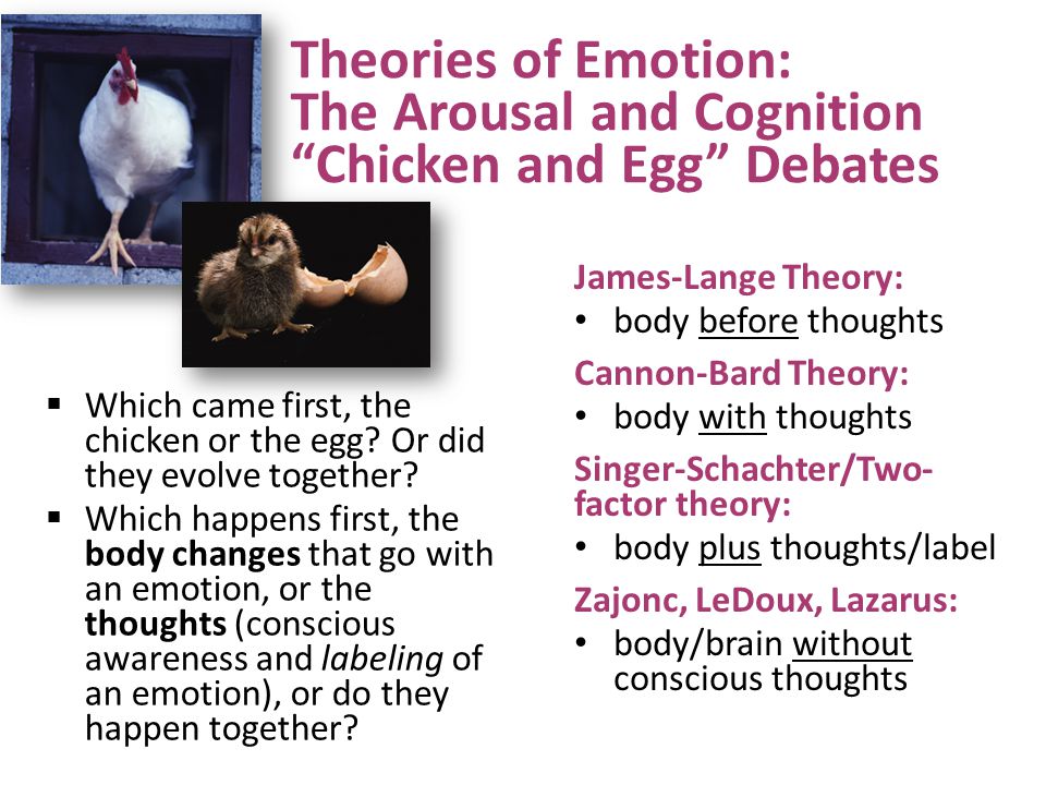 Theories of Emotion: The Arousal and Cognition Chicken and Egg Debates
