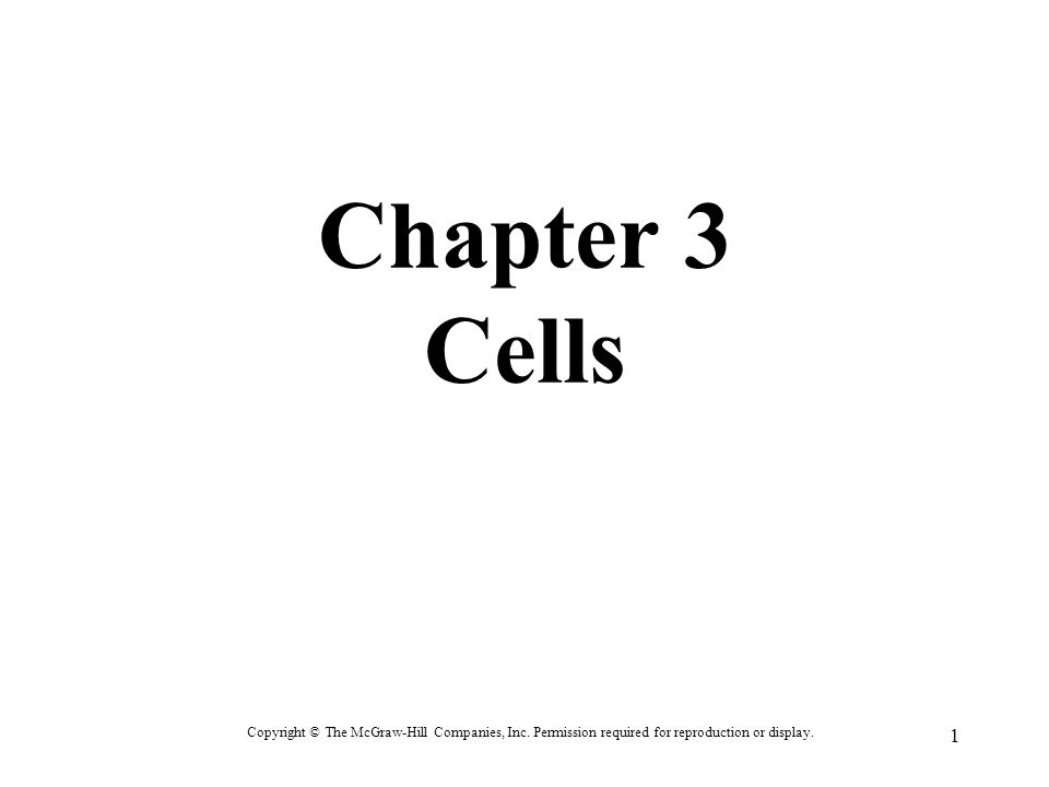chapter-3-cells-and-tissues-answer-key