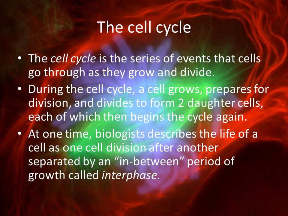 The cell cycle The cell cycle is the series of events that cells go through as they grow and divide.