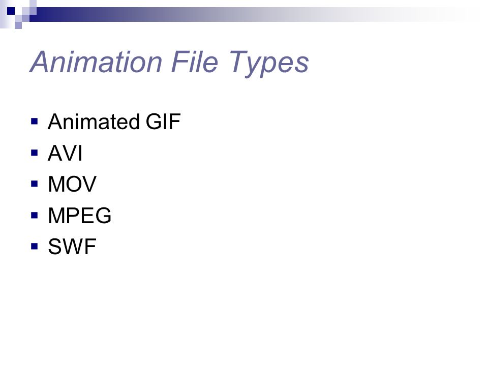 Animation File Types Animated GIF AVI MOV MPEG SWF