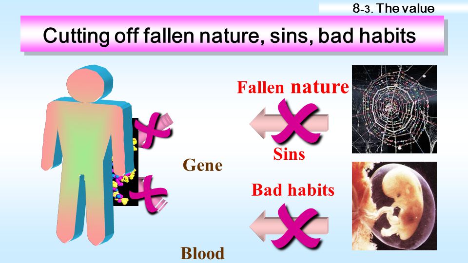 Cutting off fallen nature, sins, bad habits