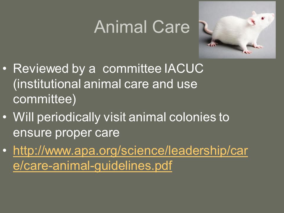 Animal Care Reviewed by a committee IACUC (institutional animal care and use committee)